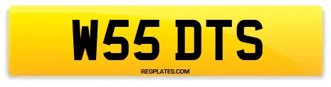 W55 DTS