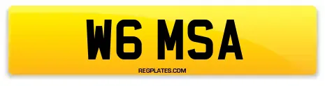 W6 MSA