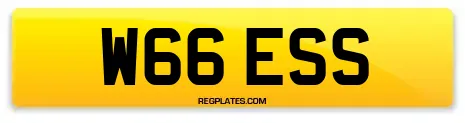 W66 ESS