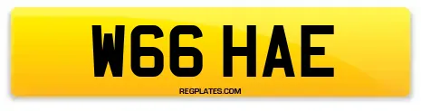 W66 HAE