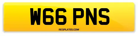 W66 PNS