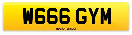 W666 GYM
