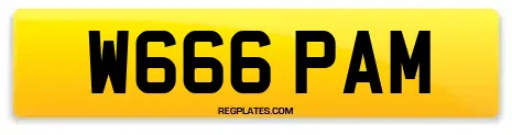 W666 PAM