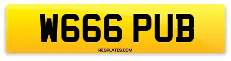 W666 PUB
