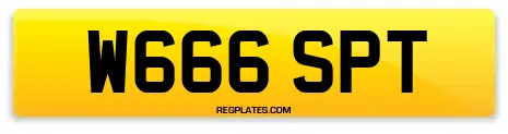 W666 SPT