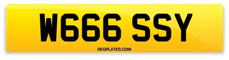 W666 SSY
