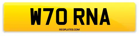 W70 RNA