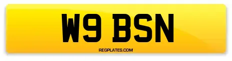 W9 BSN