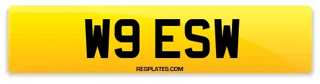 W9 ESW