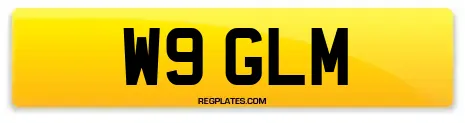 W9 GLM