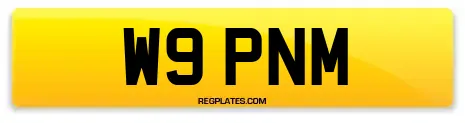 W9 PNM