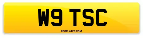 W9 TSC