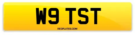 W9 TST