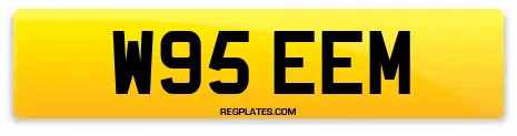 W95 EEM