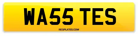 WA55 TES