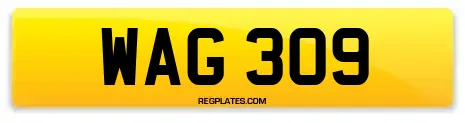 WAG 309