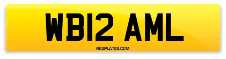 WB12 AML
