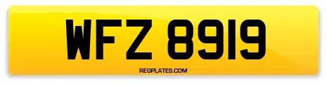 WFZ 8919