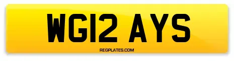 WG12 AYS