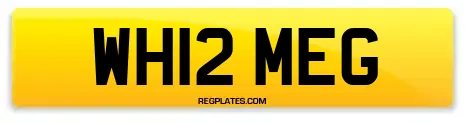 WH12 MEG