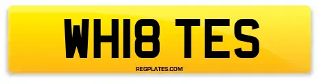WH18 TES