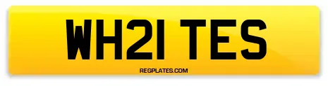 WH21 TES