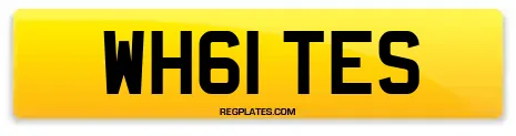 WH61 TES