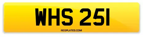 WHS 251