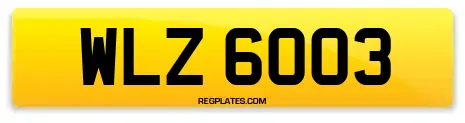 WLZ 6003