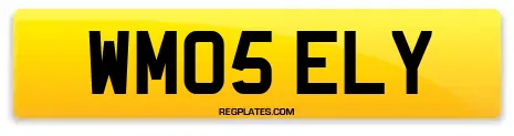 WM05 ELY