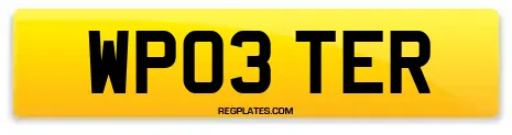 WP03 TER