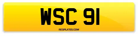 WSC 91