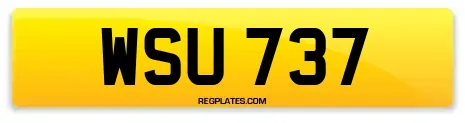 WSU 737