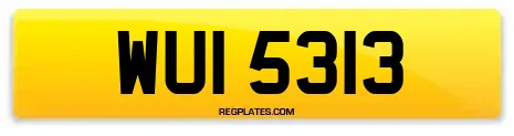 WUI 5313