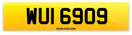 WUI 6909