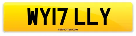 WY17 LLY