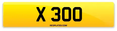 X 300