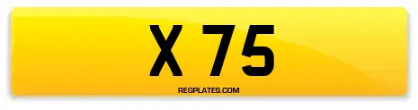 X 75
