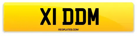 X1 DDM