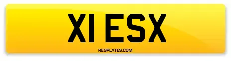 X1 ESX