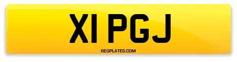 X1 PGJ