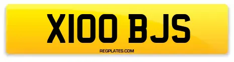 X100 BJS