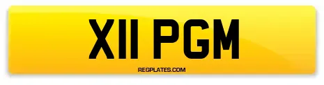 X11 PGM