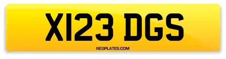 X123 DGS