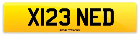 X123 NED