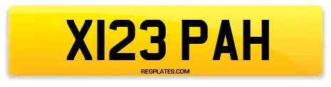 X123 PAH