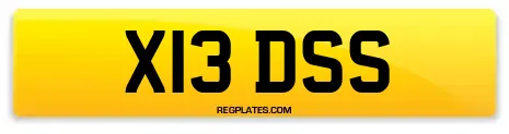 X13 DSS
