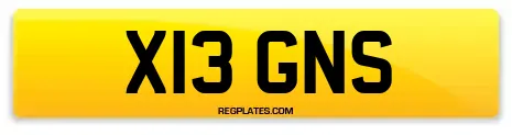 X13 GNS