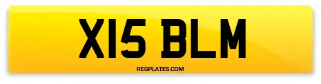 X15 BLM