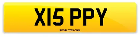 X15 PPY